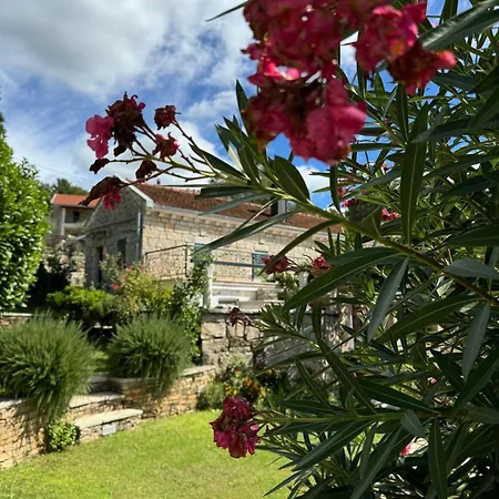 Luca Dom wakacyjny *