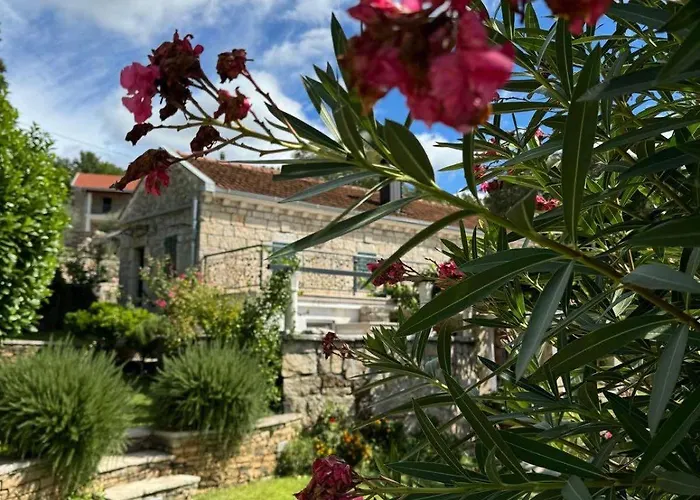 Luca Hébergement de vacances *